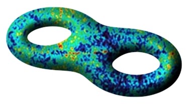 Colourful curved surface with two openings