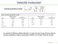 Termo2_06.jpg